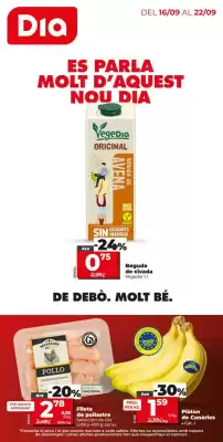 Folleto Dia (válido hasta el 22-09)