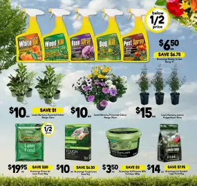 Drakes catalogue week 38 Page 2: Brunnerings Green Up Lawn Food €19,95, Brunnings Tough Lawn Seed €10,00