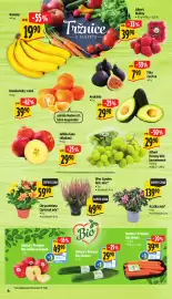 Albert leták Strana 10: Nature's Promise Bio Mrkev €39,90, Albert Hrozný bílé bezsemenné €29,90