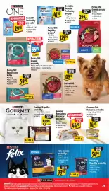 Albert leták Strana 39: Gourmet Revelations konzervy pro kočky €44,90, Purina One granule pro psy €299,00