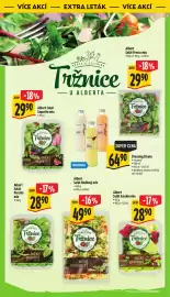 Albert leták Strana 52: Albert Salát Rodinný mix €49,90, Albert salát garden mix €2.890,00