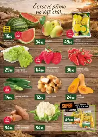 Terno leták týden 38 Strana 6: Paprika kapie €36,90, MELOUN VODNÍ €16,90