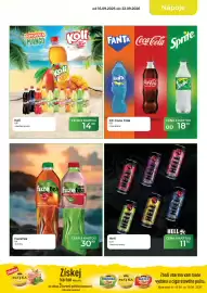 Tamda Foods leták týden 38 Strana 13