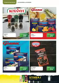 Tamda Foods leták týden 38 Strana 42