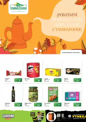 Tamda Foods leták