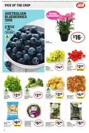 IGA catalogue week 38 Page 7: Green Goddess Salad Kit €5,50, JC's Corn Chips €6,50