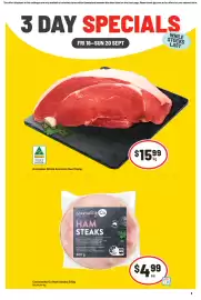 IGA catalogue Page 1
