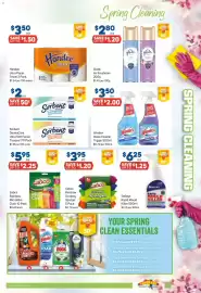 Foodland catalogue week 38 Page 23: Selley's Rapid Mould Killer €6,25, Sorbent DermaCare Ultra Soft Facial Tissues €2,00