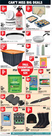 Canadian Tire flyer Page 10: RealTree toque and sock combo €9,99, Globe 11" Flush Mount Light €9,99