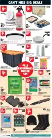 Canadian Tire flyer Page 10: RealTree toque and sock combo €9,99, Globe 11" Flush Mount Light €9,99