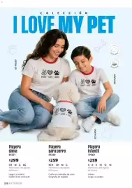 Catálogo Ilusión Página 240