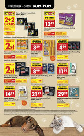 Biedronka gazetka tydzień 38 Strona 2: Karma dla kota Kitty €11,99, Przysmak dla kota Kitty €3,29