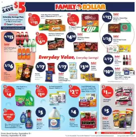 Family Dollar weekly ad week 38 Page 1: Pillsbury chocolate chip cookie dough €7,00, Gain liquid or flings €4,00