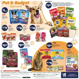 Family Dollar weekly ad week 38 Page 13: Purina Dog Chow Dry Dog Food €13,50, Purina Kit & Kaboodle Dry Cat Food €11,50