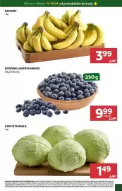 Stokrotka gazetka Strona 3: Borówki amerykańskie €9,99, Kapusta biała €1,49