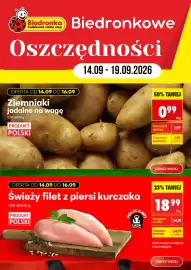 Biedronka gazetka tydzień 38 Strona 1
