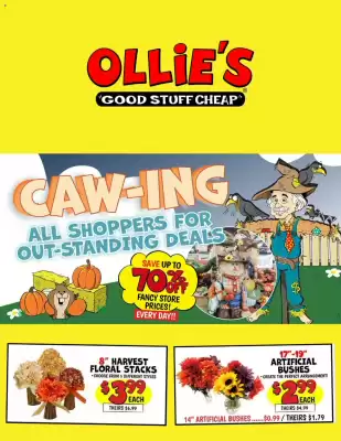 Ollie's weekly ad (valid until 20-09)