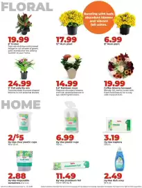 Hy-Vee weekly ad week 38 Page 38: Hy-Vee plastic cups €6,99, Coffee blooms bouquet €19,99