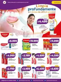 Catálogo Supermayorista Vital semana 38 Página 5