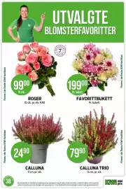 Kiwi kundeavis uke 38 Side 13: Favorittbukett €199,00, Calluna Trio €79,90