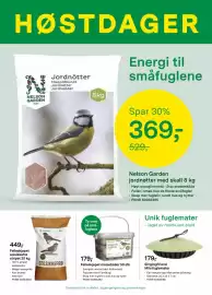 Felleskjøpet kundeavis Side 6: Felleskjøpet meiseboller 50 stk €179,00, Nelson Garden jordnøtter med skall 8 kg €369,00
