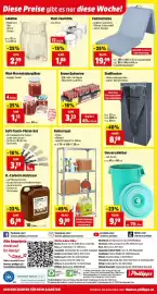 Thomas Philipps Prospekt woche 38 Seite 9: B.-Carbolin Holzlasur €6,99, Soft-Touch-Pinsel-Set €3,33
