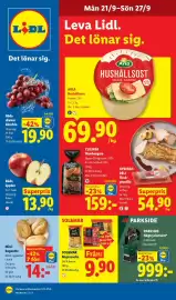 Lidl reklamblad vecka 39 Sida 1: Mini-bagette €14,00, Röda druvor kärnfria €19,90