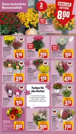 REWE City Prospekt woche 38 Seite 5
