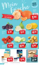 Markant Markt Prospekt woche 38 Seite 5