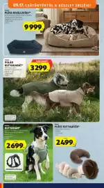ALDI akciós újság hét 38 Oldal 8: Romeo kutyahám €2.699,00, Romeo plüss kutyajáték €2.499,00