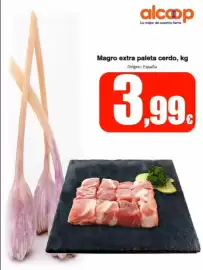Folleto Super Alcoop semana 38 Página 11