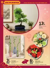 Catalogue E.Leclerc Drive | FETE DE LA LUNE + SURGELES page 20