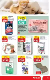 Auchan akciós újság hét 38 Oldal 35: SANDBOXX ALOM €3.799,00, MONGE LECHAT EXCELLENCE NEDVES MACSKAELEDEL €449,00