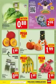 Elli Markt Prospekt woche 38 Seite 3