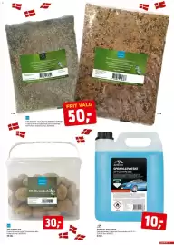 Jem & fix tilbudsavis uge 39 Side 9: Autozone sprinklervæske spylervæske €10,00, Bird mejsebolde €30,00