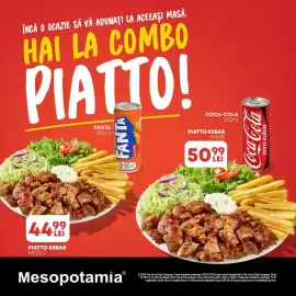Catalog Mesopotamia Pagină 1