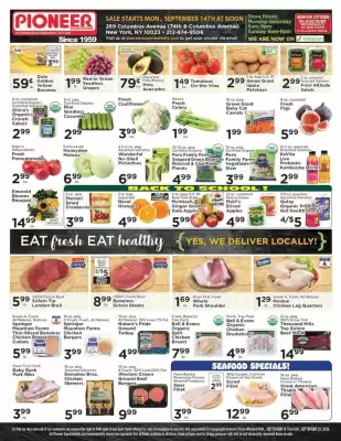 Pioneer (valid until 21-09)