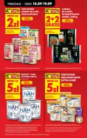 Biedronka gazetka tydzień 38 Strona 19