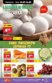 Biedronka gazetka tydzień 38 Strona 36