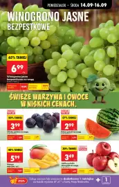 Biedronka gazetka tydzień 38 Strona 37