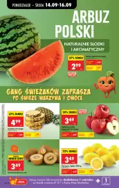 Biedronka gazetka tydzień 38 Strona 38