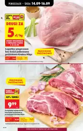 Biedronka gazetka tydzień 38 Strona 40