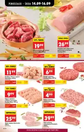 Biedronka gazetka tydzień 38 Strona 42