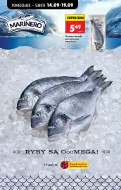 Biedronka gazetka tydzień 38 Strona 46