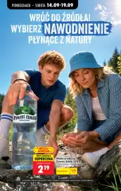 Biedronka gazetka tydzień 38 Strona 47