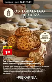 Biedronka gazetka tydzień 38 Strona 50