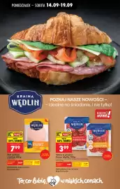 Biedronka gazetka tydzień 38 Strona 56