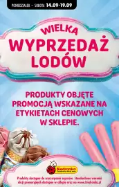 Biedronka gazetka tydzień 38 Strona 58