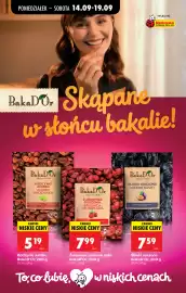 Biedronka gazetka tydzień 38 Strona 70