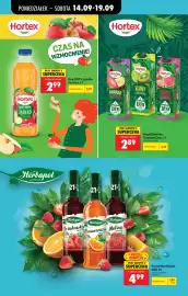 Biedronka gazetka tydzień 38 Strona 76